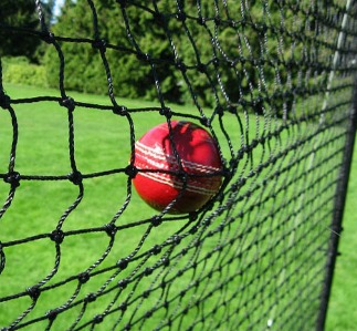 Cricket Barrier Nets; Outdoor #21 Medium-Impact and #42 High-Impact Netting; For Home, Cricket Fields, Recreational Parks, Schools.