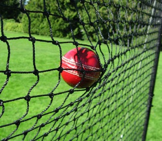 Cricket Barrier Nets; Outdoor #21 Medium-Impact and #42 High-Impact Netting; For Home, Cricket Fields, Recreational Parks, Schools.